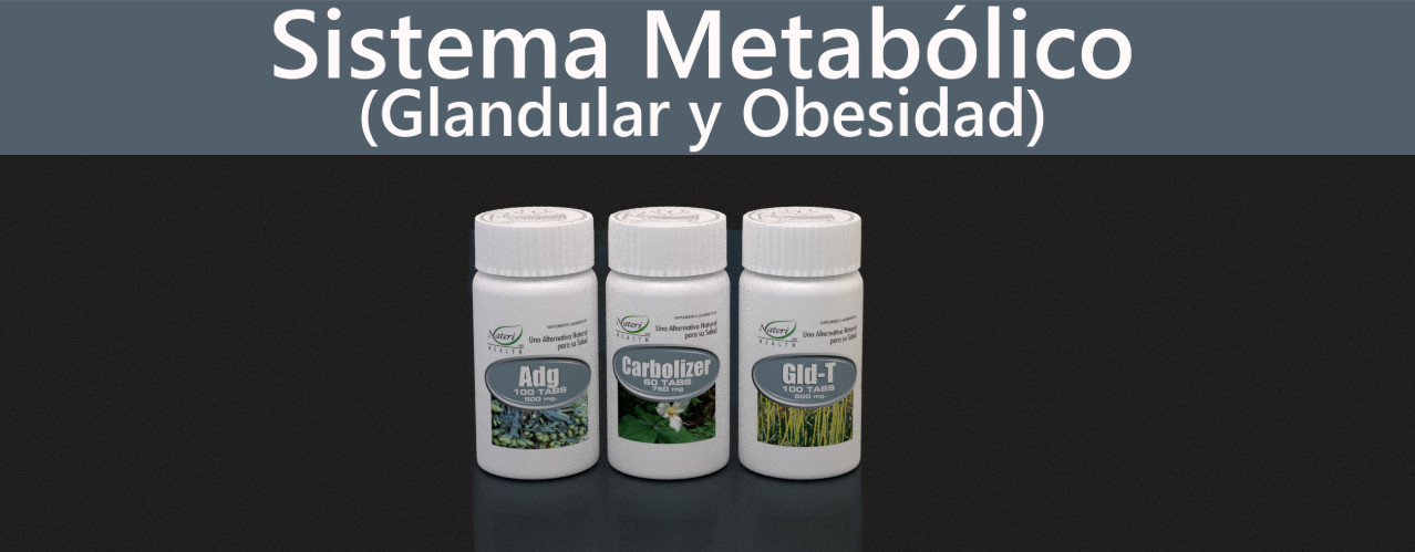 Sistema Metabólico (Glandular y Obesidad)
